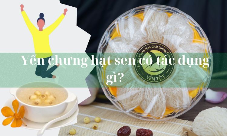 Yến chưng hạt sen có tác dụng gì?