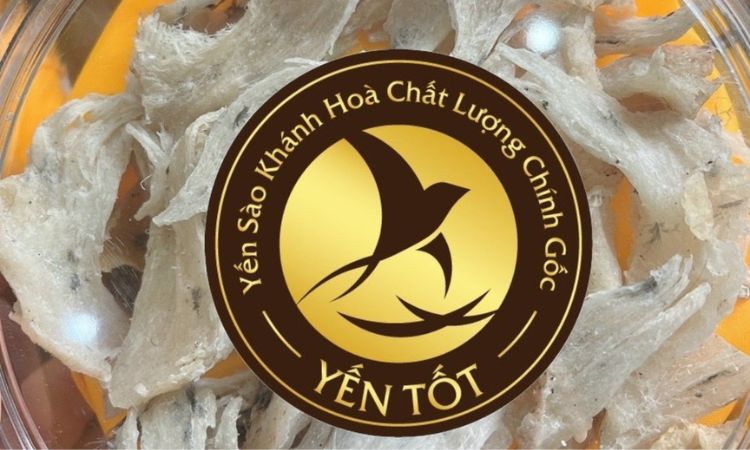 Cách bảo quản yến thô