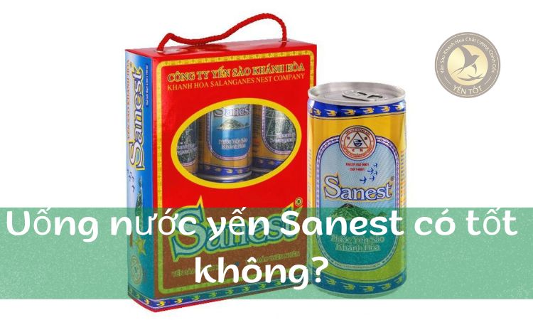 Uống nước yến Sanest có tốt không?