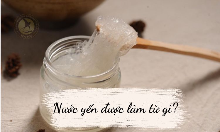 Nước yến làm từ gì?