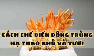 Cách chế biến đông trùng hạ thảo